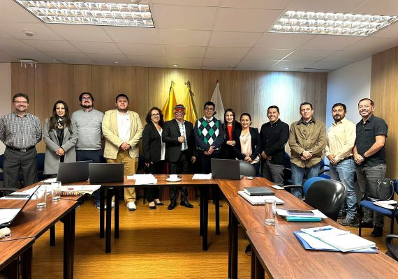 BOLETÍN Nº0029 Gestión de proyectos ante el BDE