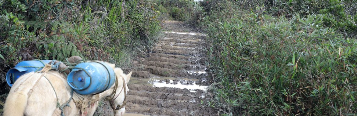 BOLETÍN Nº0027 Vialidad Moriré – Espíritu Playa
