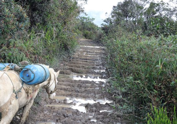 BOLETÍN Nº0027 Vialidad Moriré – Espíritu Playa