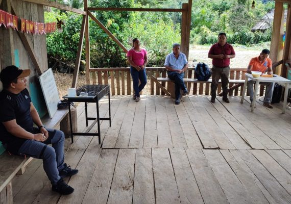 BOLETÍN Nº0031 ASFALTADO TRAMO VIAL PEÑAS – YAUPI