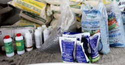 IMPULSAMOS LA PRODUCCIÓN AGRÍCOLA EN EL CANTÓN MORONA