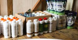 IMPULSAMOS LA PRODUCCIÓN AGRÍCOLA EN EL CANTÓN MORONA