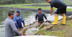 CAPACITAMOS EN PRODUCCIÓN PISCÍCOLA
