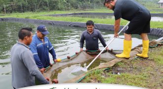 CAPACITAMOS EN PRODUCCIÓN PISCÍCOLA