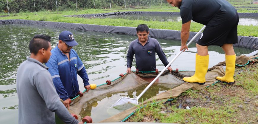 CAPACITAMOS EN PRODUCCIÓN PISCÍCOLA