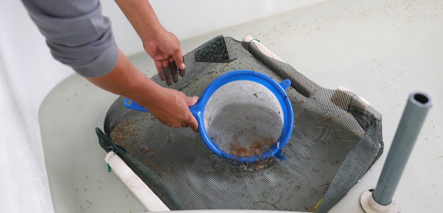 CAPACITAMOS EN PRODUCCIÓN PISCÍCOLA