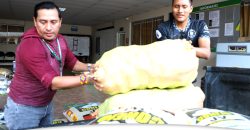 SEGURIDAD ALIMENTARIA PARA GRUPOS DE ATENCIÓN PRIORITARIA