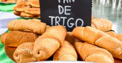 𝗔𝗣𝗥𝗘𝗡𝗗𝗘𝗥, 𝗚𝗘𝗡𝗘𝗥𝗔 𝗢𝗣𝗢𝗥𝗧𝗨𝗡𝗜𝗗𝗔𝗗𝗘𝗦 𝗘𝗖𝗢𝗡Ó𝗠𝗜𝗖𝗔𝗦