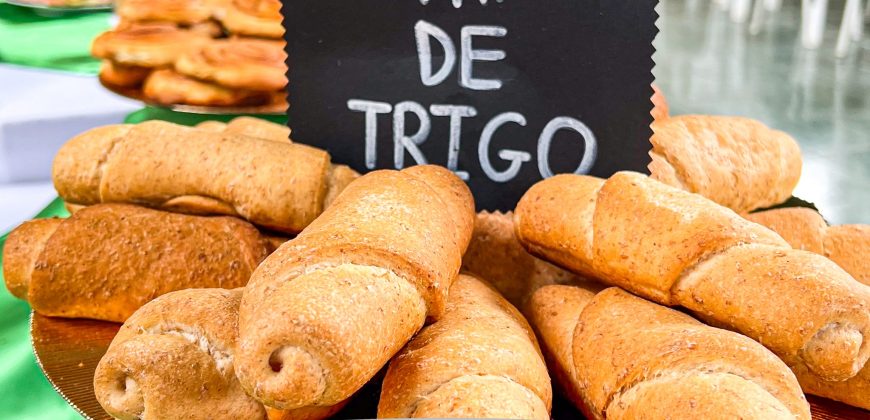 𝗔𝗣𝗥𝗘𝗡𝗗𝗘𝗥, 𝗚𝗘𝗡𝗘𝗥𝗔 𝗢𝗣𝗢𝗥𝗧𝗨𝗡𝗜𝗗𝗔𝗗𝗘𝗦 𝗘𝗖𝗢𝗡Ó𝗠𝗜𝗖𝗔𝗦