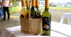 TIYUA CONTIGO EN SANGAY