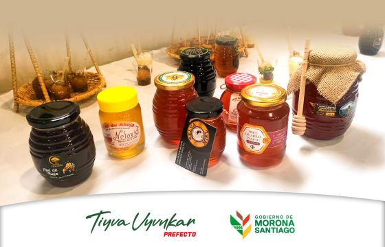 𝗗Í𝗔 𝗠𝗨𝗡𝗗𝗜𝗔𝗟 𝗗𝗘 𝗟𝗔𝗦 𝗔𝗕𝗘𝗝𝗔𝗦