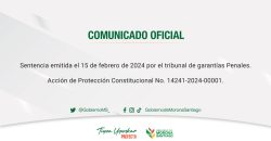 DISCULPAS PÚBLICAS, Acción de Protección Constitucional