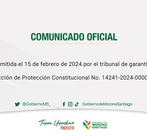DISCULPAS PÚBLICAS, Acción de Protección Constitucional